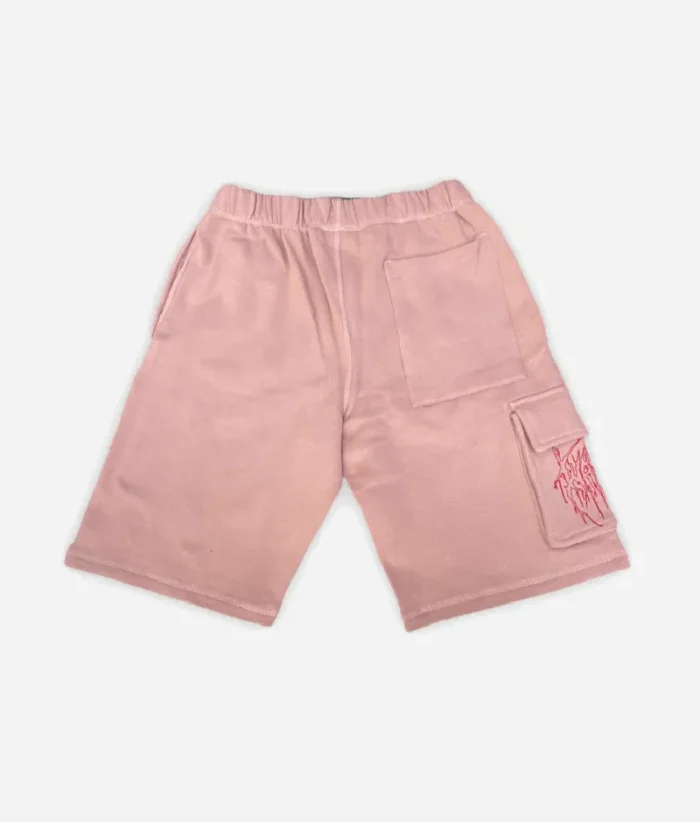 Wasted Shorts Clay Pink (1)